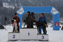 Lenk 2012 SM